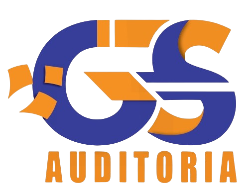 GS AUDIT